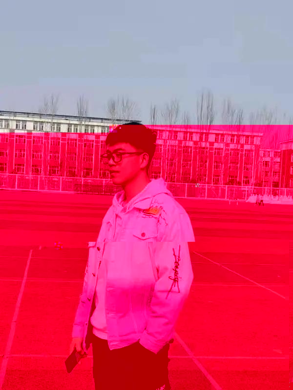 C8C6